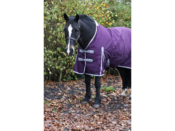 Horse Rugs Thumbnail