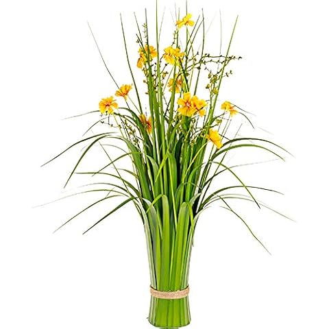 House Of Decora Silks thumbnail