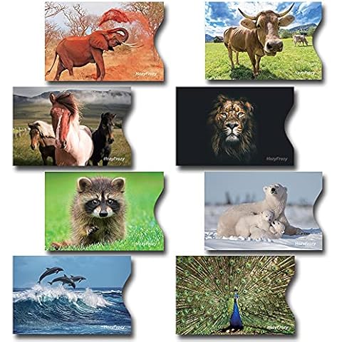 HozyFrozy feature image