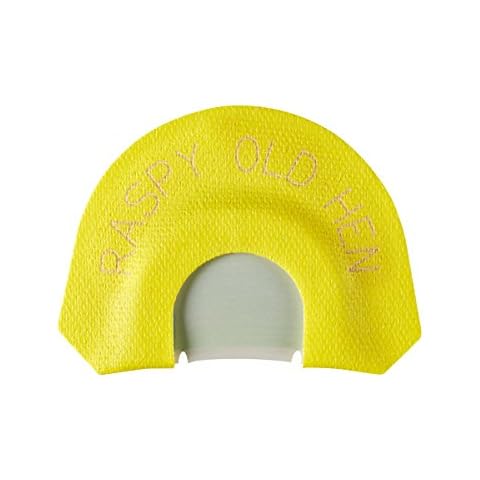 H.S. STRUT feature image