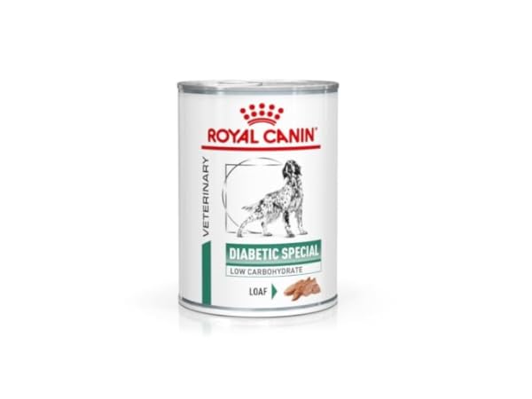 Hunting Dog Equipment Thumbnail