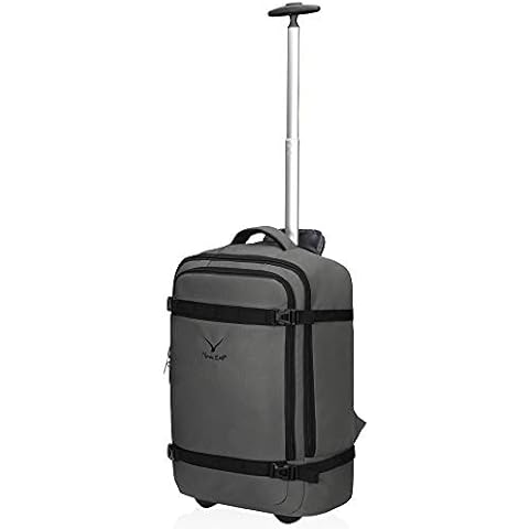 Hynes Eagle feature image