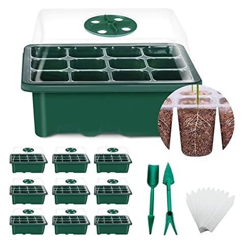 HZXSDEG feature image