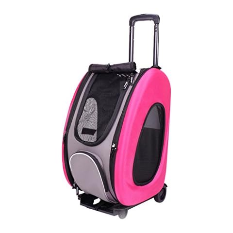 Ibiyaya feature image