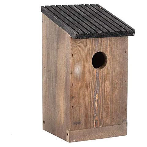 Ichiias feature image