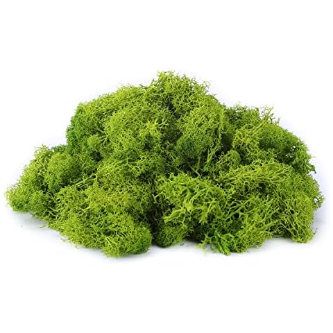 IHKFILAN feature image