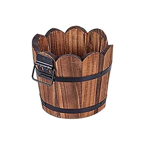 Impatiens feature image