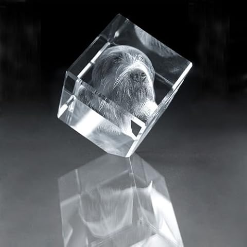 Incrystals feature image