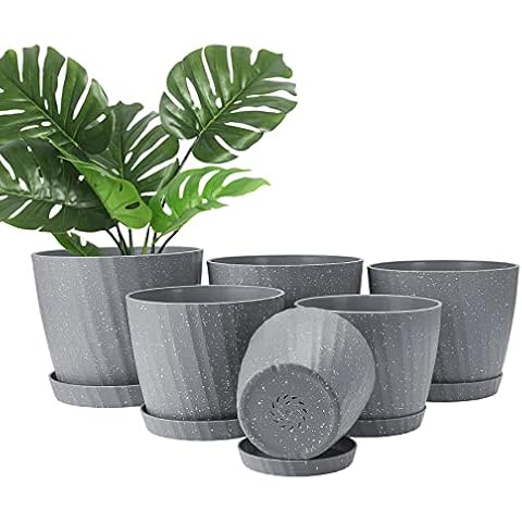 Indoor Flower Pots