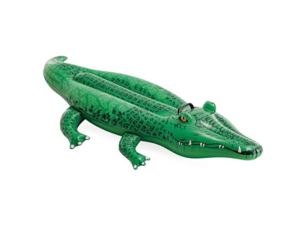 Inflatable Pool Ride-Ons Thumbnail