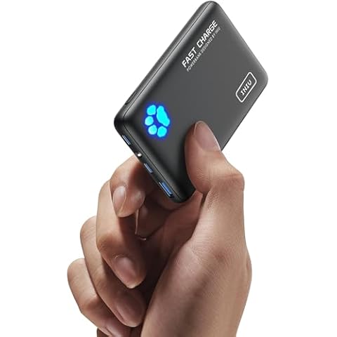 INIU Power Banks