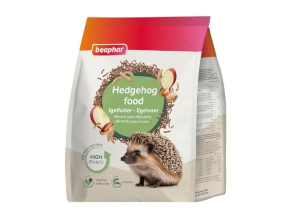 Insect Food Thumbnail