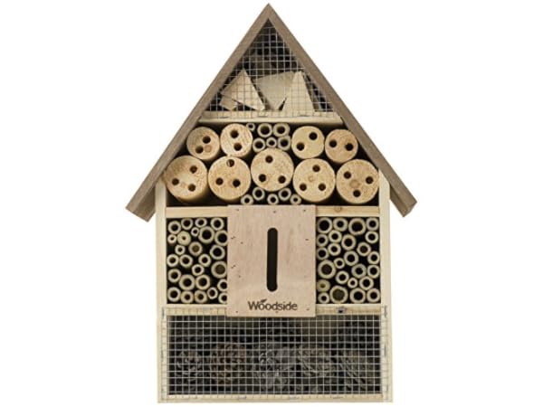 Insect Hotels Thumbnail