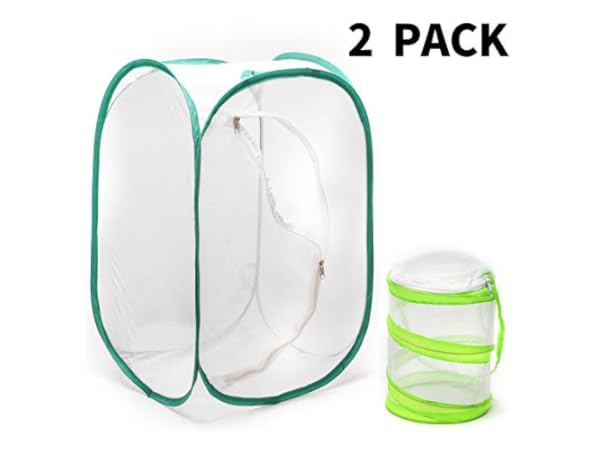 Insect Terrariums Thumbnail