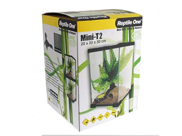 Insect Terrariums Thumbnail