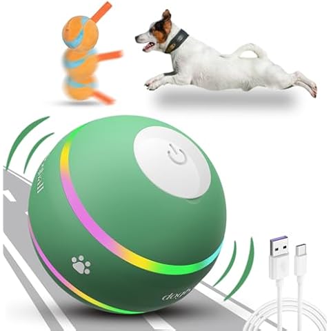 Interactive Dog Toys