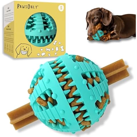 Interactive Toys for Dogs