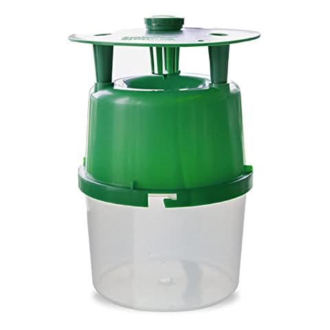 IPM Direct feature image