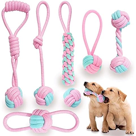 Itsforthedogs thumbnail