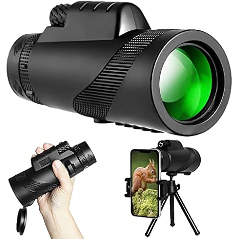 IVIVTOR thumbnail