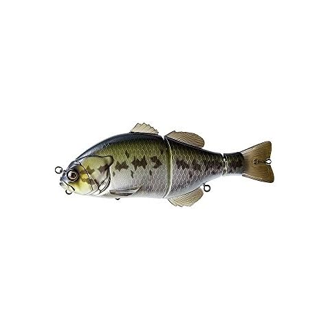 Jackall feature image