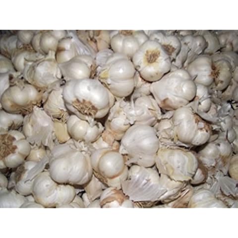 JANE LANE NURSERY feature image