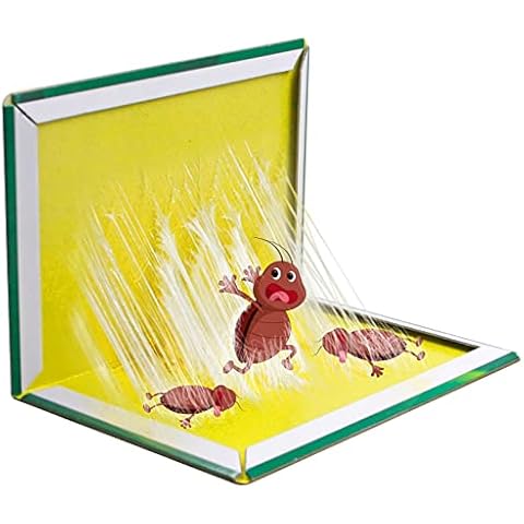 Jaydear feature image