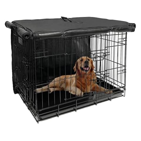 Joroamp feature image