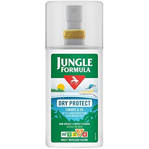 Jungle feature image