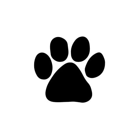 KamiDesigns thumbnail