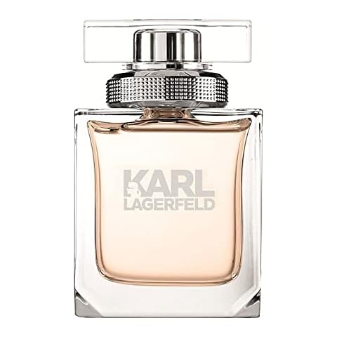 Karl Lagerfeld feature image