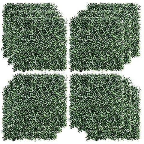 Kdgarden feature image