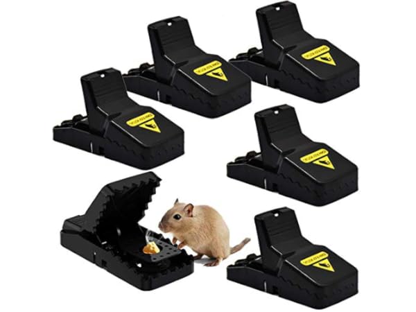 Kill Rodent Traps thumbnail