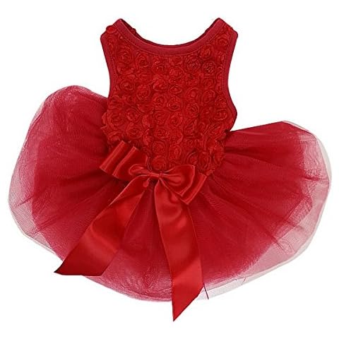 Kirei Sui feature image