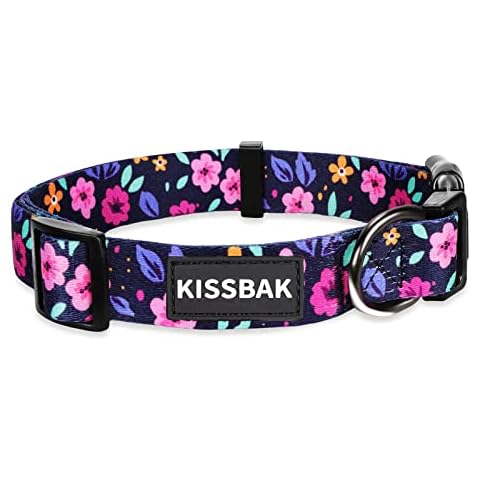 KISSBAK feature image