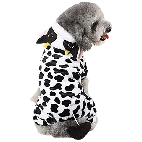 Kodervo feature image