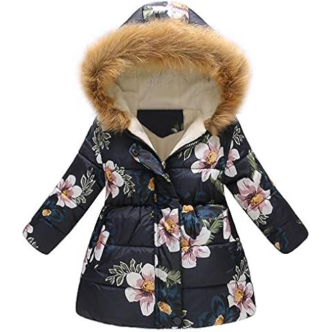 Kolylong Baby feature image