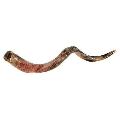 Kudu Yemenite HORN SHOFAR feature image