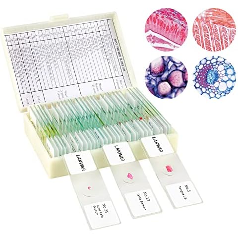 Lab Microscope Slides
