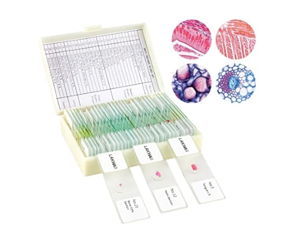 Lab Microscope Slides Thumbnail