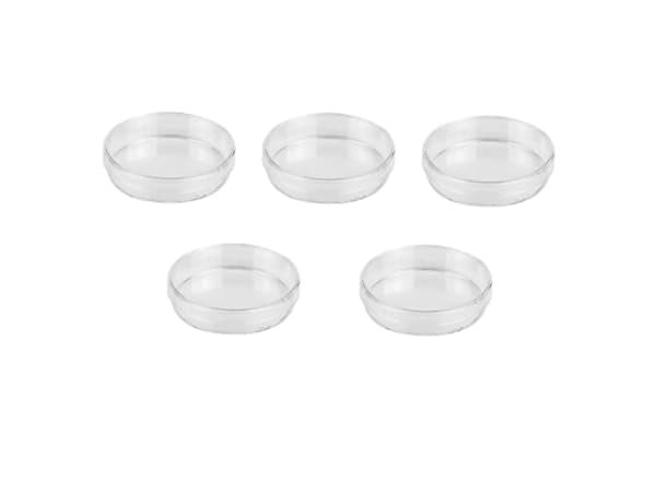 Lab Petri Dishes Thumbnail