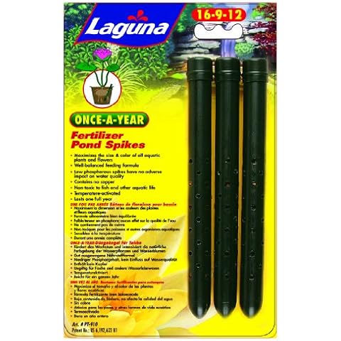 Laguna feature image