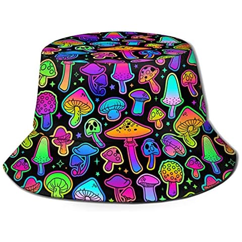 LAIPUTER feature image