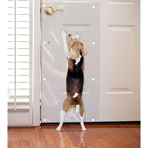 LAMINET feature image