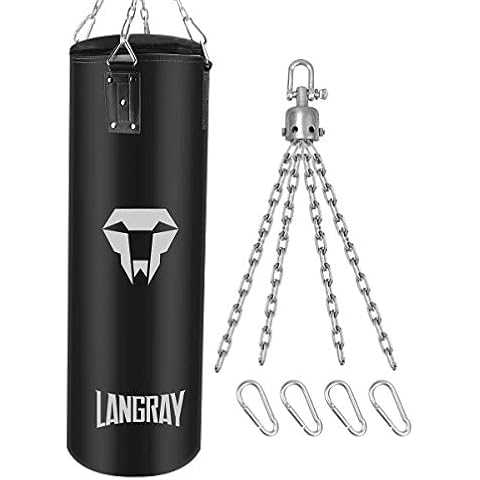 LangRay feature image