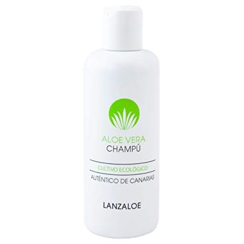 Lanzaloe feature image