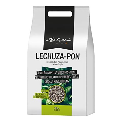 Lechuza thumbnail