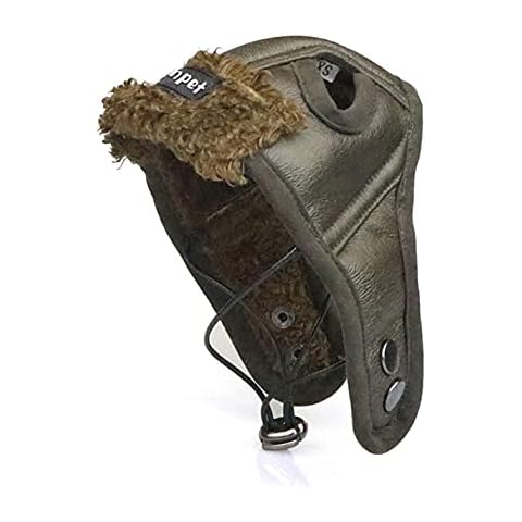 Leconpet feature image