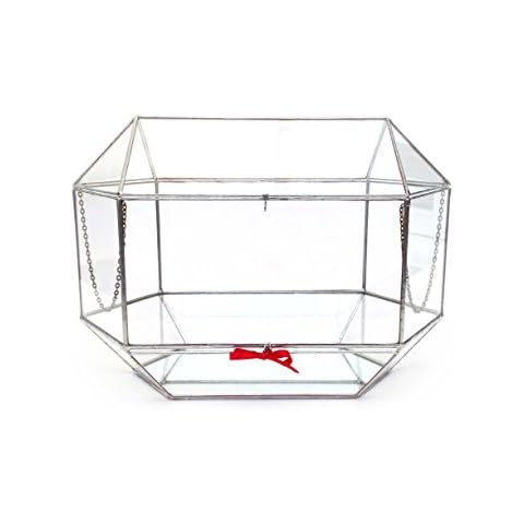 Lenka's Terrrariums feature image