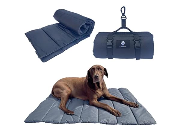Lightweight Dog Beds thumbnail